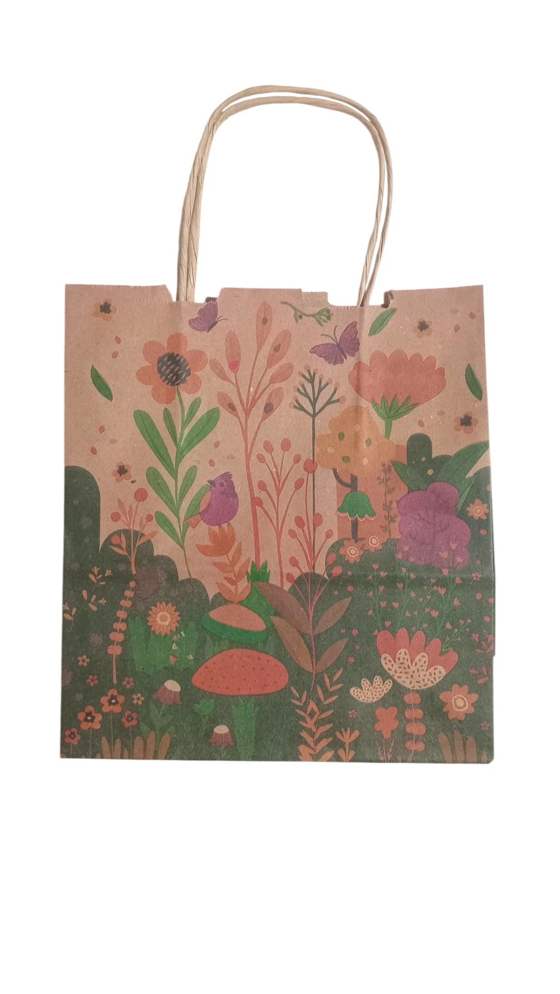 BOLSA FANTASIA 18 X 20 APROX. - BOTANICA