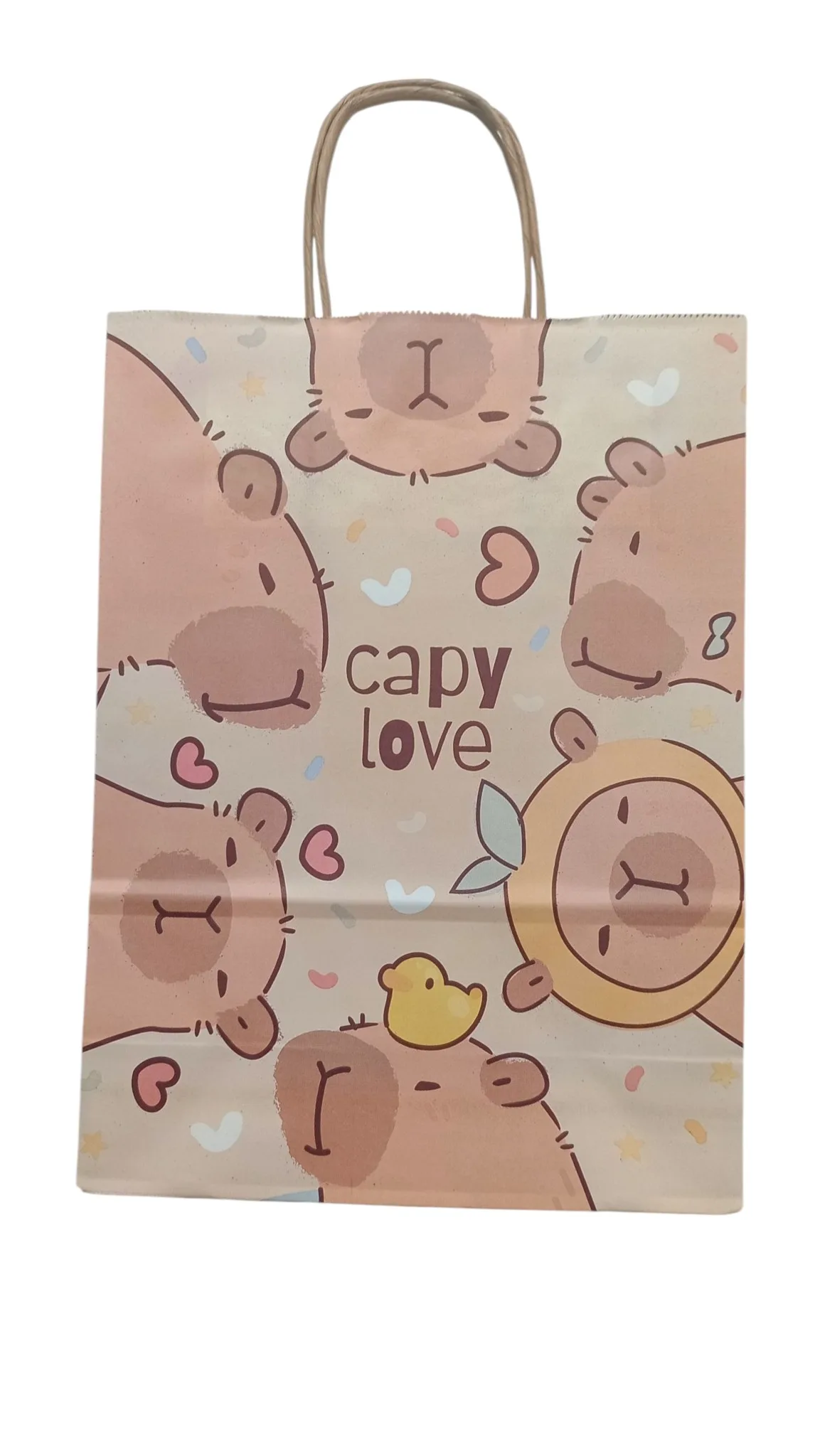 BOLSA FANTASIA 22X10X30 APROX. CAPIBARA